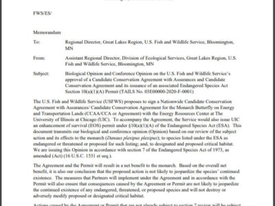 Thumbnail to Biological Opinion on Approval of Monarch CCAA. Opens link in a new tab