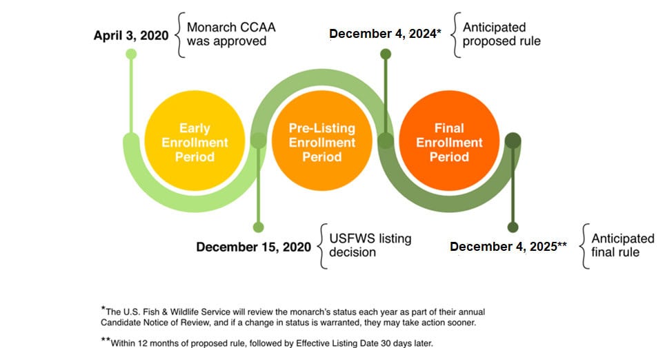 An image showing the timeline for when the monarch butterfly will be designated by the United States Fish and Wildlife Service as an endangered species under the Endangered Species Act (ESA).