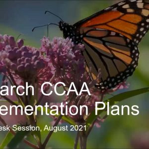 Thumbnail for the Monarch CCAA Implementation Plans video. Click the above link to view the video in a new window.
