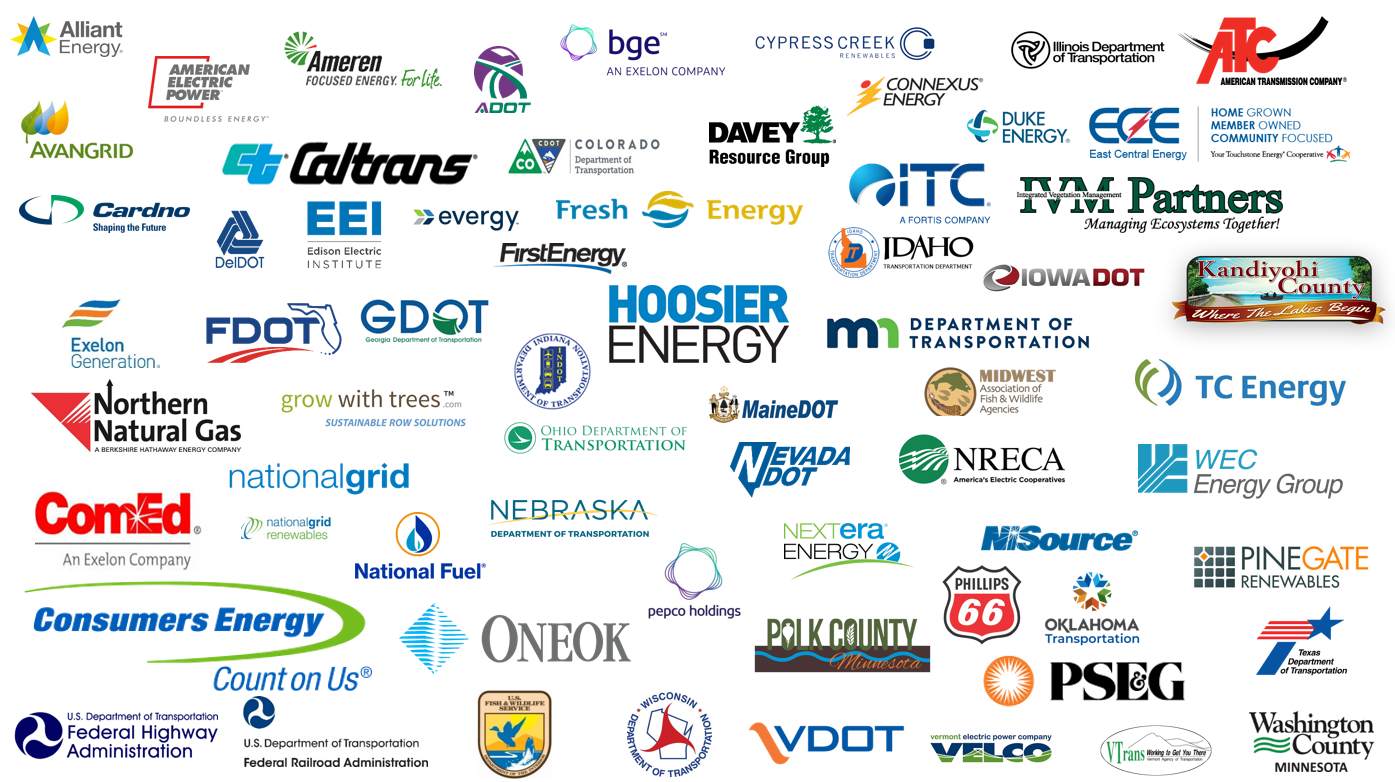 Graphic containing the logos of all collaborators.
