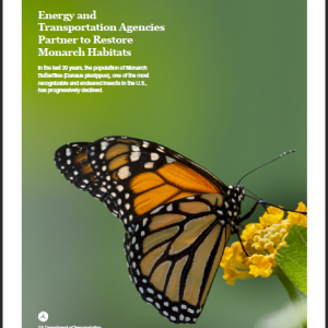 Thumbnail to Energy and Transportation Agencies Partner to Restore Monarch Habitats Brochure. Opens link in a new tab.