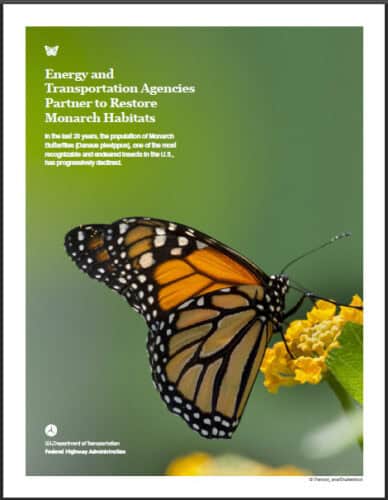 Thumbnail to Energy and Transportation Agencies Partner to Restore Monarch Habitats Brochure. Opens link in a new tab.