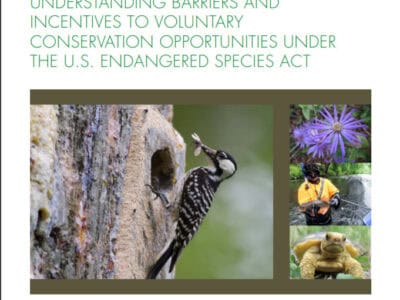 Cover page of the report titled "Understanding Barriers and Incentives to Voluntary Conservation Opportunities Under the U.S. Endangered Species Act," featuring a woodpecker at a tree hole, purple flowers, a person in a yellow jacket engaged in conservation efforts, and a turtle, published by the Electric Power Research Institute in September 2020.
