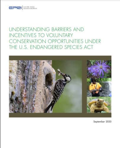 Cover page of the report titled 