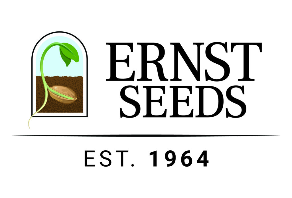 Ernst Seeds