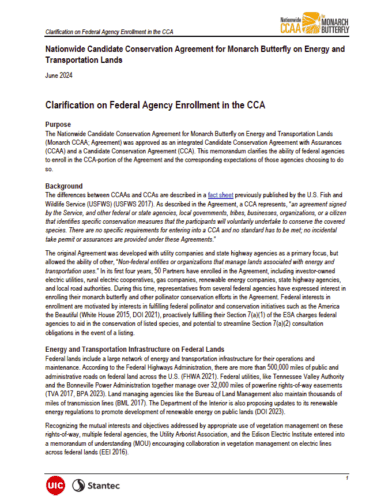 Document titled 