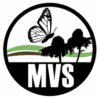 MVS