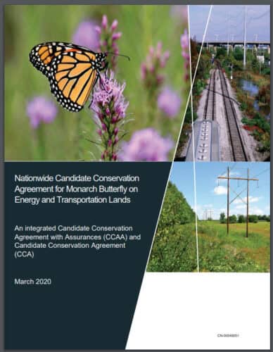 Thumbnail to Monarch CCAA for Energy and Transportation Lands. Opens link in a new tab.