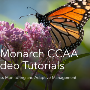 Thumbnail for the Effectiveness Monitoring and Adaptive Management video. Click the link above the thumbnail to open the video in a new window.