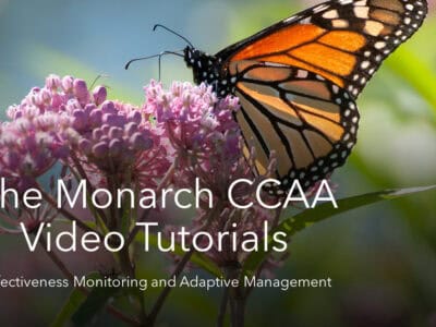 Thumbnail for the Effectiveness Monitoring and Adaptive Management video. Click the link above the thumbnail to open the video in a new window.
