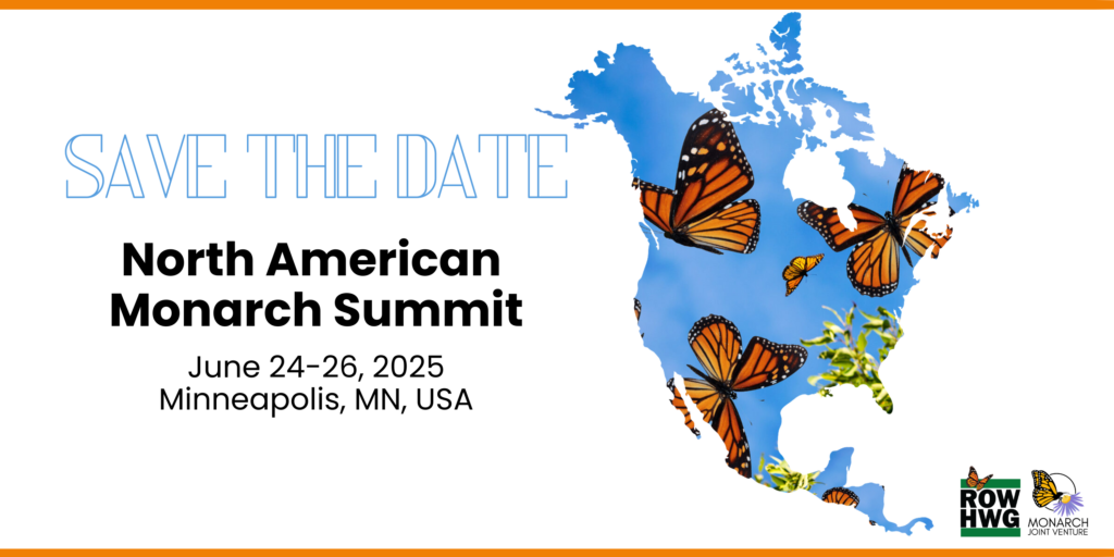 Save the Date for the North American Monarch Summit June 24-26,2025 Minneapolis Minnesota, USA. Blue map of North America superimposed with Monarch butterflies flying.