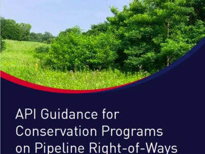 Lush green landscape with trees and vegetation, illustrating the API Guidance for Conservation Programs on Pipeline Right-of-Ways.
