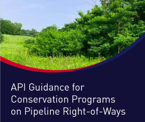 Lush green landscape with trees and vegetation, illustrating the API Guidance for Conservation Programs on Pipeline Right-of-Ways.