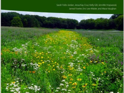 Cover image of "Organic Site Preparation for Wildflower Establishment" featuring a vibrant meadow filled with various wildflowers, promoting biodiversity and sustainable practices in landscaping. The Xerces Society for Invertebrate Conservation is highlighted, emphasizing the importance of organic methods for ecological restoration.