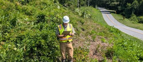 Worker in safety gear inspecting vegetation along a roadside, with lush greenery and a clear blue sky in the background. The scene captures environmental assessment or maintenance activities.
