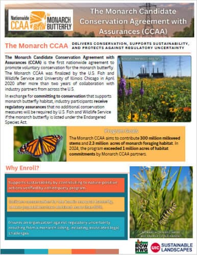 Introduction to the Monarch CCAA flyer