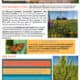 Introduction to the Monarch CCAA flyer