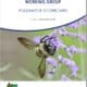 Thumbnail for Pollinator Scorecard User's Guide. Click the thumbnail to open the tool in a new window.