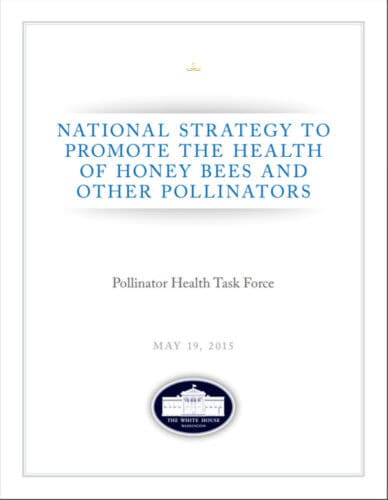 Thumbnail to National Strategy to Promote The Health of Honey Bees and Other Pollinators. Opens link in a new tab.