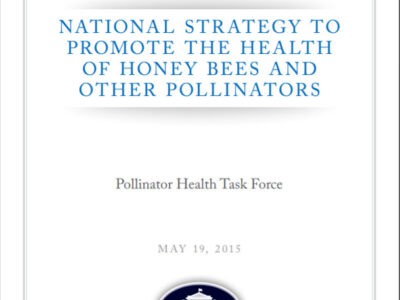 Thumbnail to National Strategy to Promote The Health of Honey Bees and Other Pollinators. Opens link in a new tab.