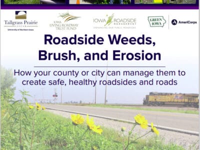 Informative graphic on managing roadside weeds, brush, and erosion to ensure safe and healthy roadsides. Features images of roadside maintenance activities and highlights resources from the Tallgrass Prairie Center, Iowa Living Roadway Trust Fund, and AmeriCorps.
