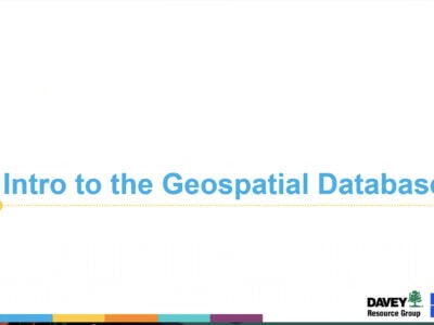 Title slide for a presentation on the Geospatial Database, featuring the text "Intro to the Geospatial Database" in blue, with a yellow dotted line underneath, and logos of Davey Resource Group and FieldLD at the bottom.