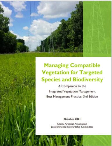 Cover page of the report