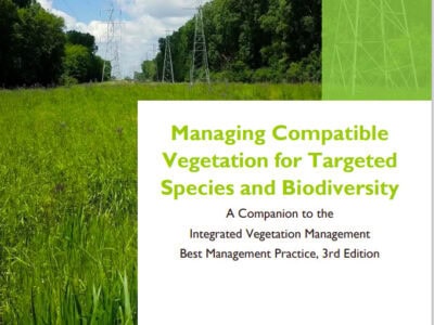 Cover page of the report "Managing Compatible Vegetation for Targeted Species and Biodiversity," featuring a green field with power lines in the background and a blue sky with clouds. The document is published by the Utility Arborist Association in October 2021, focusing on integrated vegetation management practices for biodiversity conservation.