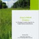 Document cover for "Scope of Work Guidance" focused on managing compatible vegetation for targeted species and biodiversity, published by the Utility Arborist Association in October 2021. The background features a lush green field with power lines and trees.