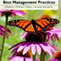 Monarch & Pollinator Habitat in Grazing Operations