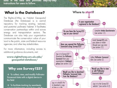 Alt text: Infographic titled "Guide to Using Survey123" that explains how to utilize ArcGIS Survey123 for collecting Pollinator Scorecard data. It includes a flowchart for users to determine their starting point, information about the Rights-of-Way as Habitat Geospatial Database, and reasons for using Survey123, such as data collection and tracking. The design features a fieldworker in a flowering habitat, emphasizing conservation efforts.