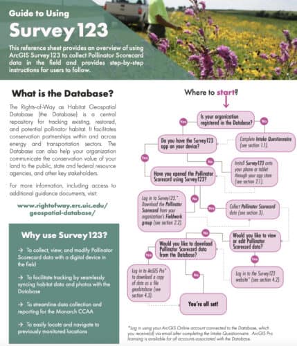 Alt text: Infographic titled 