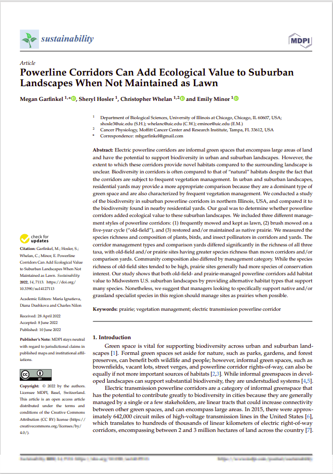 Alt text: Academic article titled "Powerline Corridors Can Add Ecological Value to Suburban Landscapes When Not Maintained as Lawn," discussing the ecological benefits of electric powerline corridors in urban landscapes. The study compares biodiversity in managed versus unmanaged corridors in Illinois, emphasizing the potential for increased species richness and conservation value when these areas are not maintained as traditional lawns.