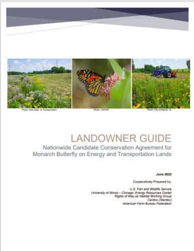 Thumbnail to Landowner Guide. Link opens in a new tab