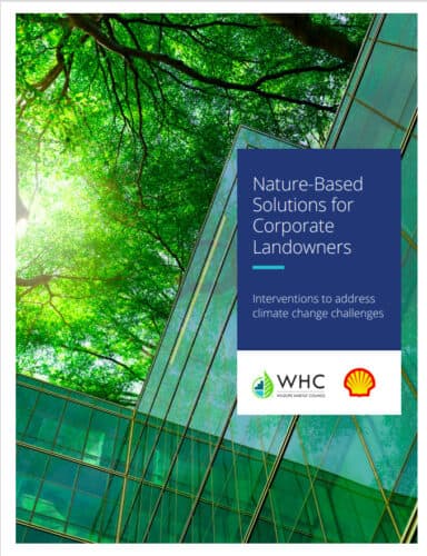 Cover image for the report titled 