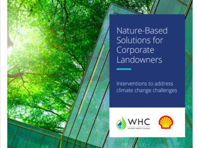 Cover image for the report titled "Nature-Based Solutions for Corporate Landowners," featuring a modern glass building surrounded by lush green trees, highlighting interventions to address climate change challenges, produced by the Wildlife Habitat Council and Shell.