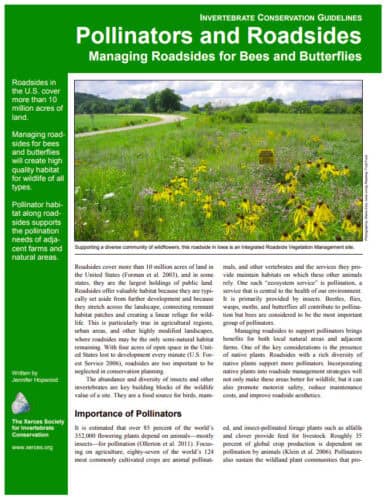 Alt text: A vibrant roadside in Iowa showcasing a diverse community of wildflowers, illustrating the importance of managing roadsides as habitats for bees and butterflies. The image emphasizes the ecological benefits of supporting pollinators and the role of roadside vegetation in connecting wildlife habitats.