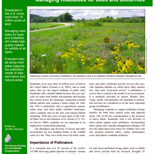 Pollinators and Roadsides - Rights-of-Way as Habitat Working Group