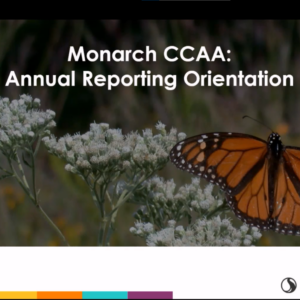 Thumbnail for the Monarch CCAA Annual Reporting Orientation video. Click the link above the thumbnail to open the video in a new window.