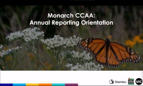 Thumbnail for the Monarch CCAA Annual Reporting Orientation video. Click the link above the thumbnail to open the video in a new window.
