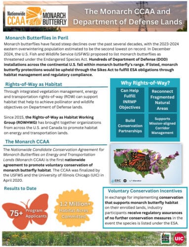 Infographic about the Monarch Candidate Conservation Agreement (CCAA) and Department of Defense (DoD) lands, highlighting the decline of monarch butterflies, habitat management strategies, and conservation efforts. It details the Rights-of-Way as Habitat Working Group (ROWHWG) initiatives, the importance of protecting monarch habitats on DoD lands, and the commitment of over 75 program applicants to conserve 1.2 million acres for monarch butterflies.