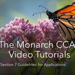 Thumbnail for the Section 7 Documentation for CCAA Application video. Click the link above the thumbnail to open the video in a new window.