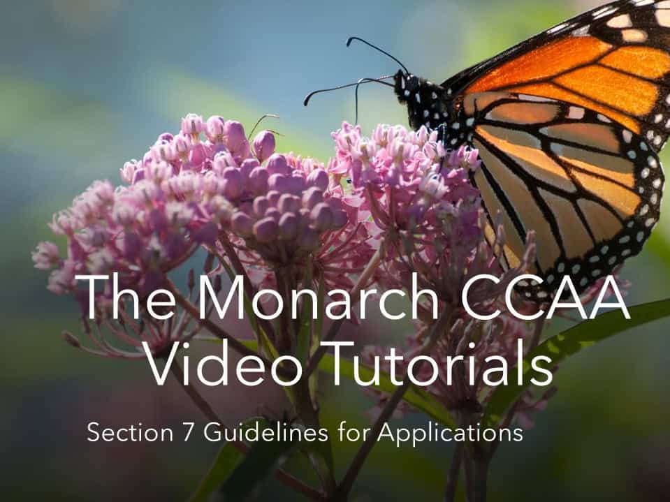 Thumbnail for the Section 7 Documentation for CCAA Application video. Click the link above the thumbnail to open the video in a new window.