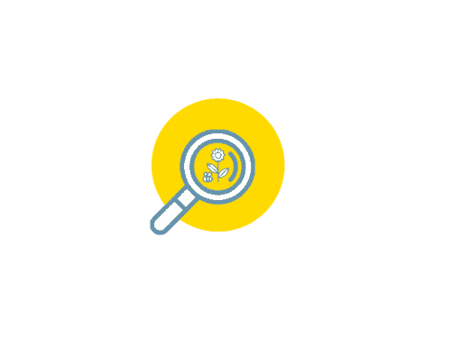Illustration of a magnifying glass over a plant and gear icon, symbolizing research and innovation in sustainability and environmental science, set against a bright yellow background.