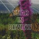 Monarch butterflies perched on vibrant purple flowers in front of solar panels, symbolizing sustainability and biodiversity in a year in review theme.