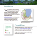 gROWing Chicago Case Study