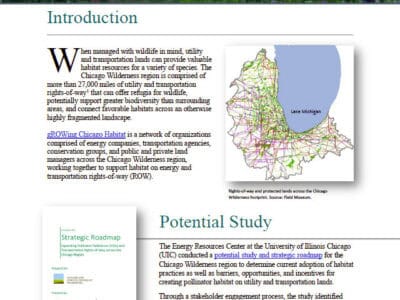 Alt text: Infographic titled "gROWing Chicago Habitat" featuring an introduction to the Chicago Wilderness region, highlighting the importance of utility and transportation lands for wildlife habitat. Includes a map showing rights-of-way and protected lands, along with a section on a potential study conducted by the University of Illinois Chicago on expanding habitat practices.