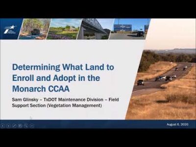 Presentation slide titled "Determining What Land to Enroll and Adopt in the Monarch CCAA" by Sam Glinsky from the TxDOT Maintenance Division, featuring images of landscapes and highways, dated August 6, 2020.