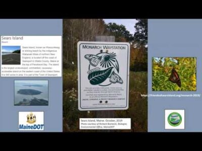 Informative sign for the Monarch Waystation on Sears Island, Maine, featuring illustrations of monarch butterflies and milkweed plants. The image also includes scenic views of the island, the MaineDOT logo, and a photograph of a monarch butterfly in its natural habitat.