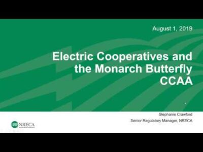 Presentation slide titled "Electric Cooperatives and the Monarch Butterfly CCAA," dated August 1, 2019, featuring Stephanie Crawford, Senior Regulatory Manager at NRECA. The background includes a green design with waves, emphasizing environmental themes related to electric cooperatives and conservation efforts for the Monarch butterfly.